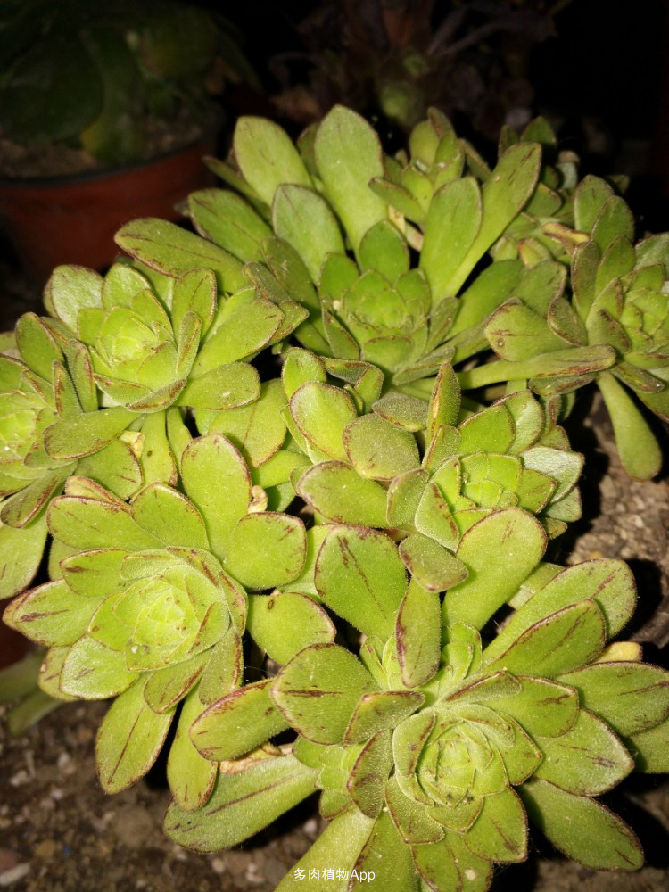 快捷快递2015年全国网络大会成功召开【kaiyun开云官方在线登录】(图4) kaiyun网页登录入口