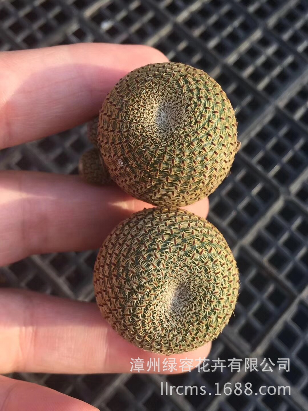 kaiyun开云官方在线登录