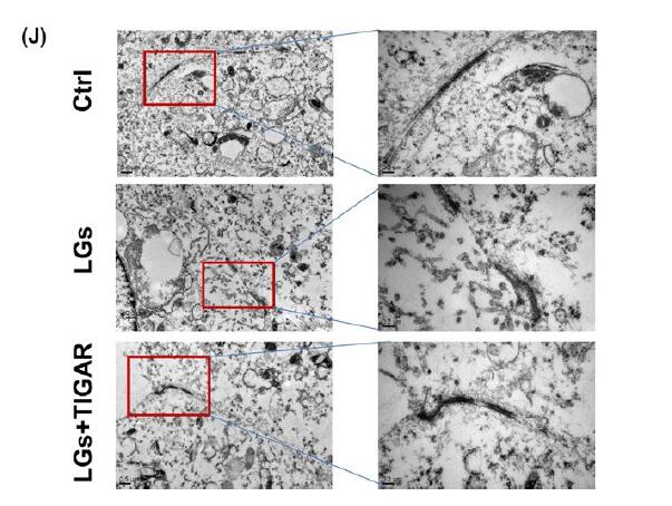 kaiyun开云网页版