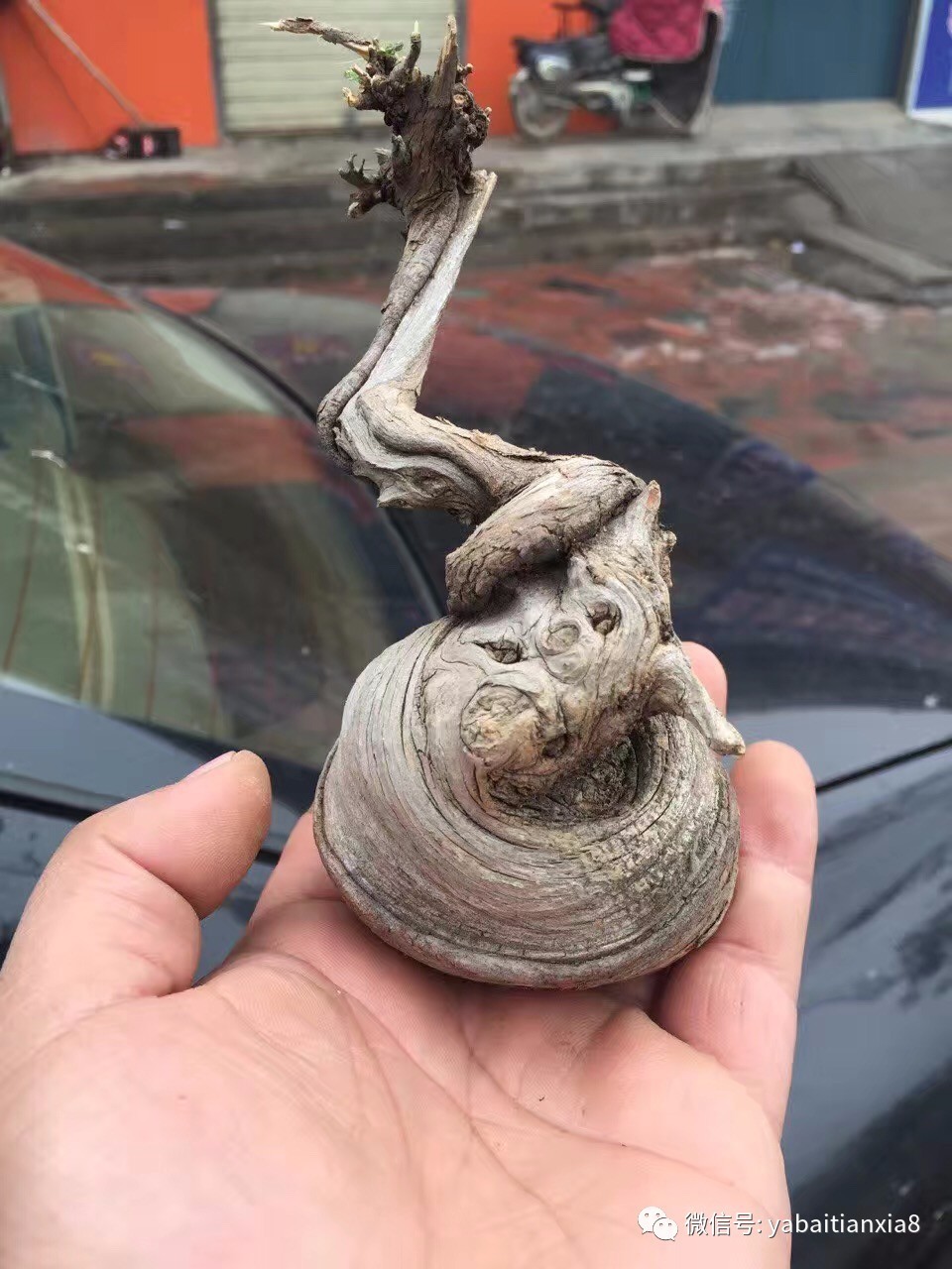 kaiyun网页登录入口