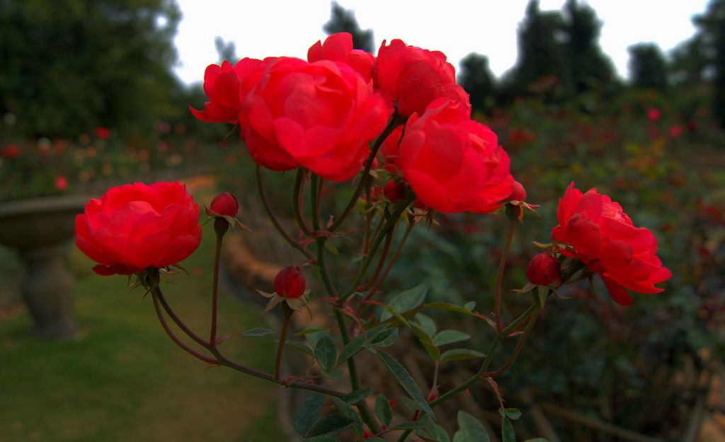 kaiyun网页登录入口