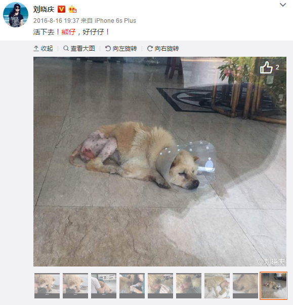 【kaiyun网页登录入口】七点不到,四川圆通小哥送达当地第一单,送了包裹还附赠玫瑰...(图2) kaiyun网页登录入口