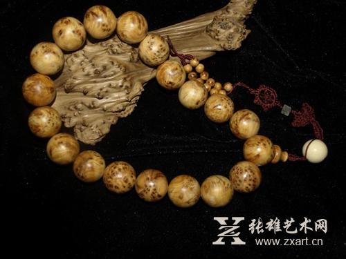 见证未来气力《中国少年说》获关注“kaiyun网页登录入口”(图3) kaiyun网页登录入口