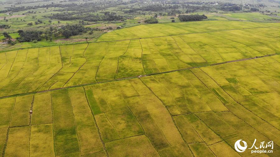 kaiyun开云官方在线登录
