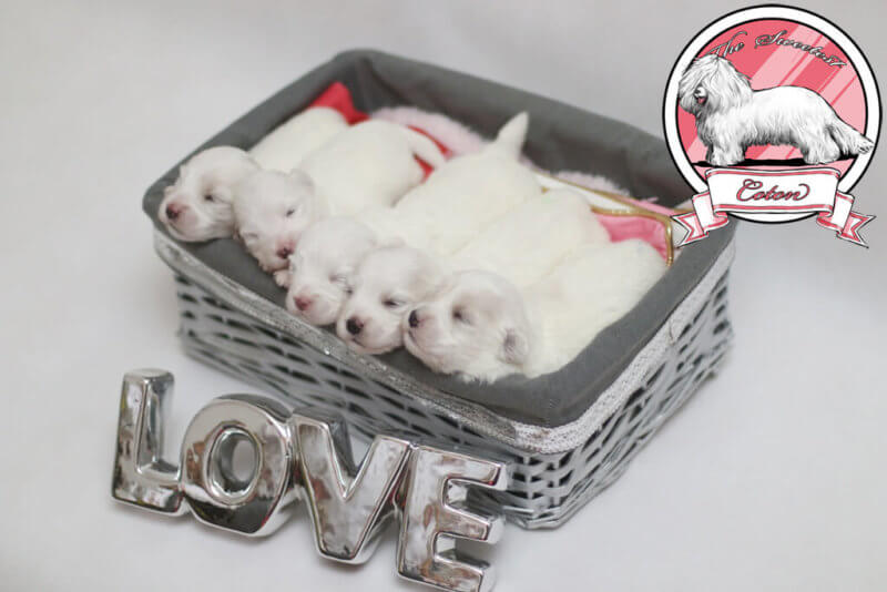 kaiyun开云网页版