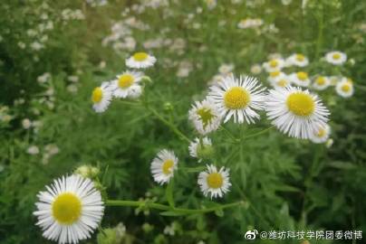 王凯上金星秀是哪一期?金星说什么王凯半分钟笑三遍_kaiyun开云网页版(图2) kaiyun开云官方在线登录