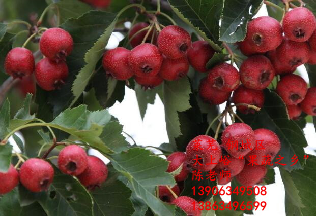 kaiyun开云官方在线登录