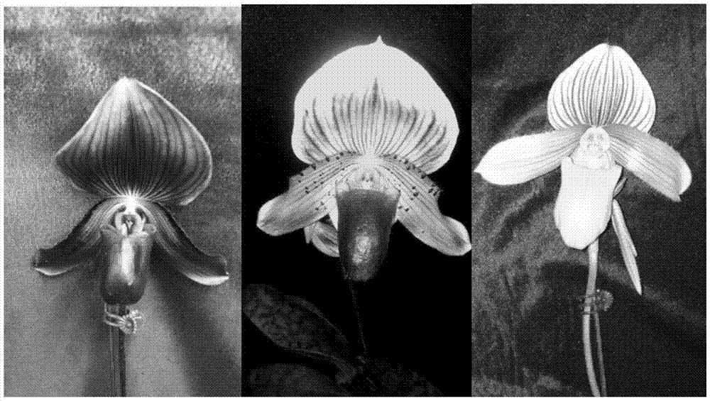 kaiyun开云网页版