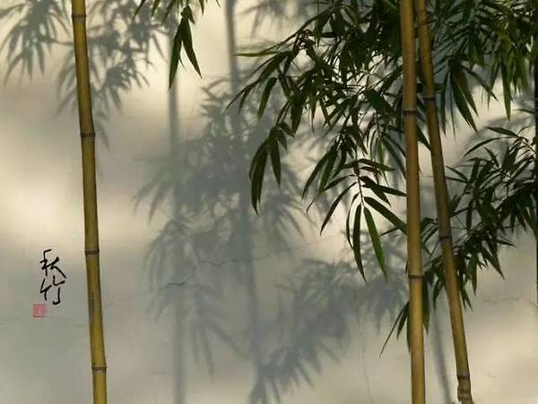 5亿元城市综合体冷链物流项目落户北林“kaiyun开云网页版”(图3) kaiyun网页登录入口