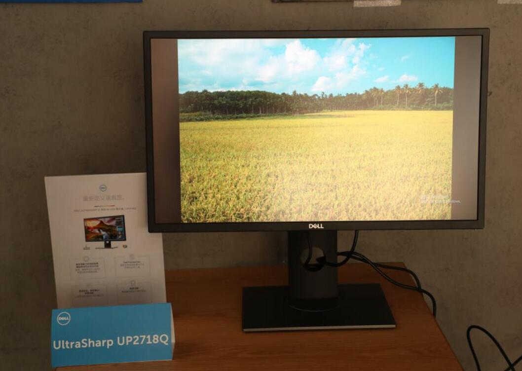 <h1>国画系学生背不出古诗词 中国画能否走长远:kaiyun开云官方在线登录(图2) kaiyun开云官方在线登录