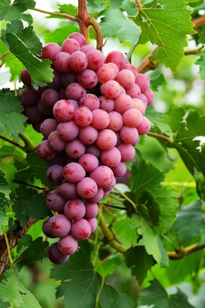 kaiyun网页登录入口