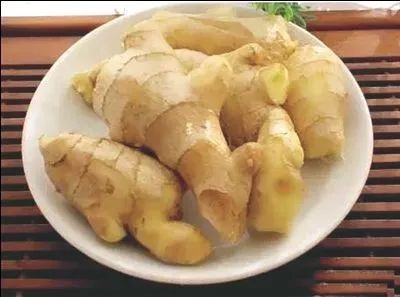 我是大侦探第六期看点:韩雪机车服发散女强人魅力‘kaiyun开云网页版’(图1) kaiyun网页登录入口