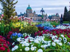 kaiyun开云网页版_顺丰公布机场项目细节,全资子公司出资23亿!(图1) kaiyun开云官方在线登录