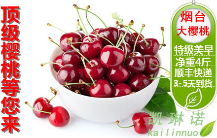 kaiyun开云网页版_顺丰公布机场项目细节,全资子公司出资23亿!(图4) kaiyun开云网页版