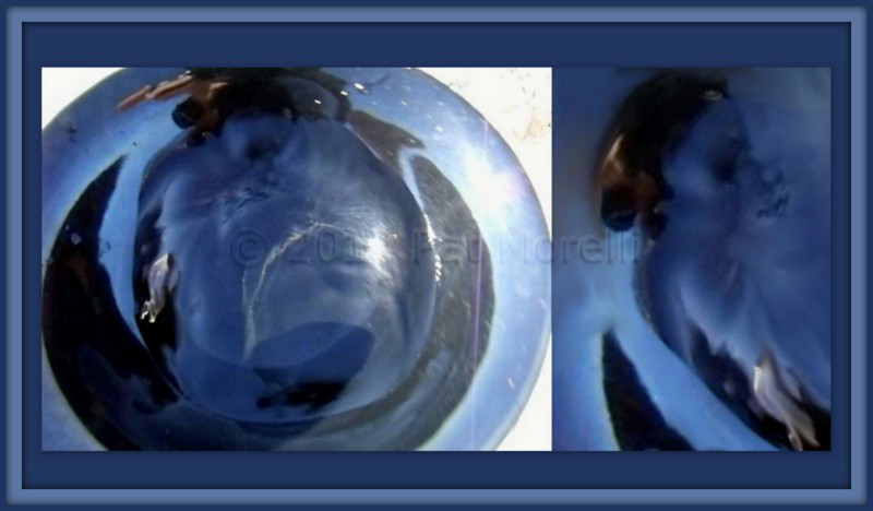 【kaiyun网页登录入口】今年1月国际航空快递货运燃油附加费呈现混合趋势(图1) kaiyun开云网页版