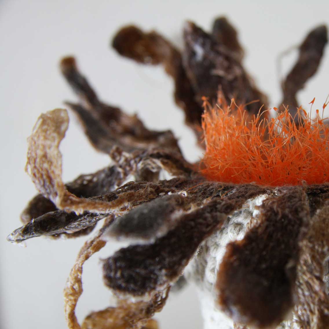 kaiyun网页登录入口