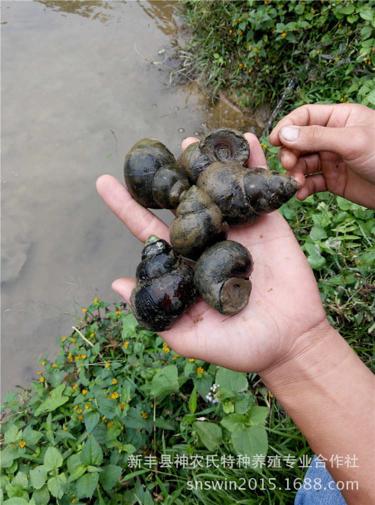 kaiyun网页登录入口