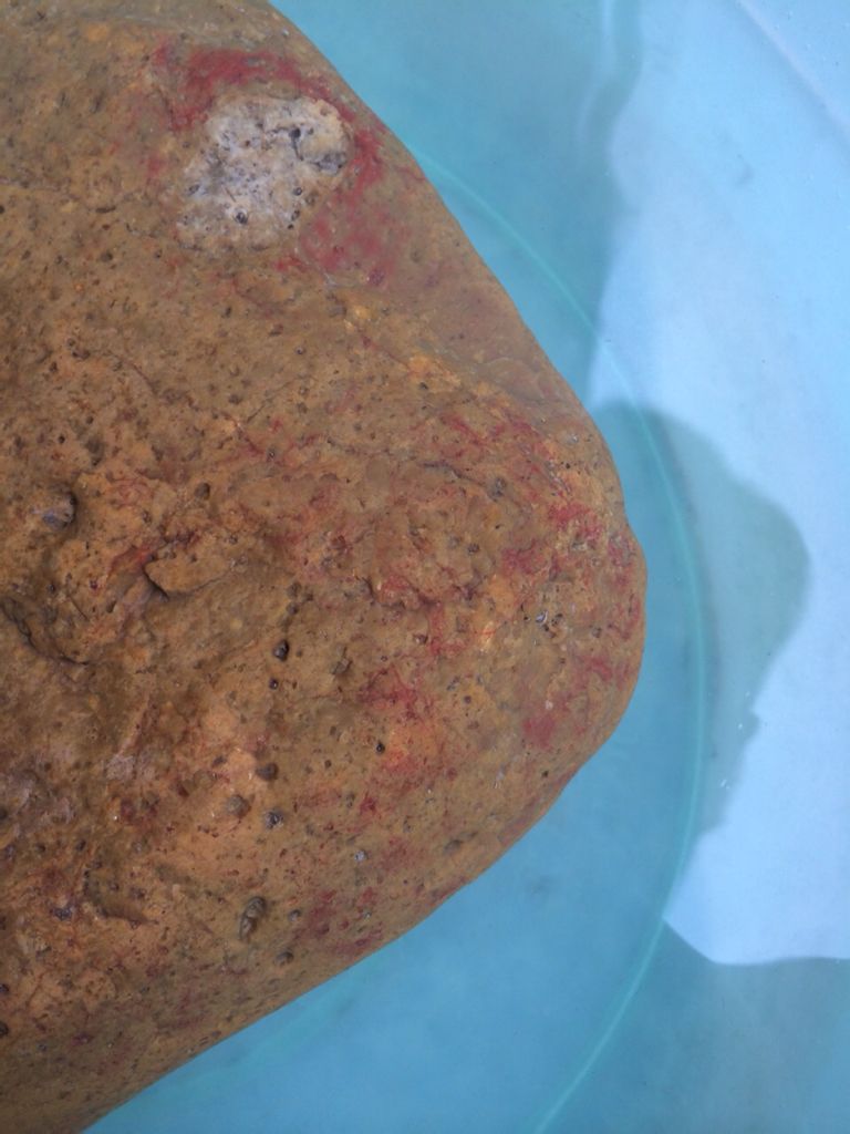 kaiyun开云网页版