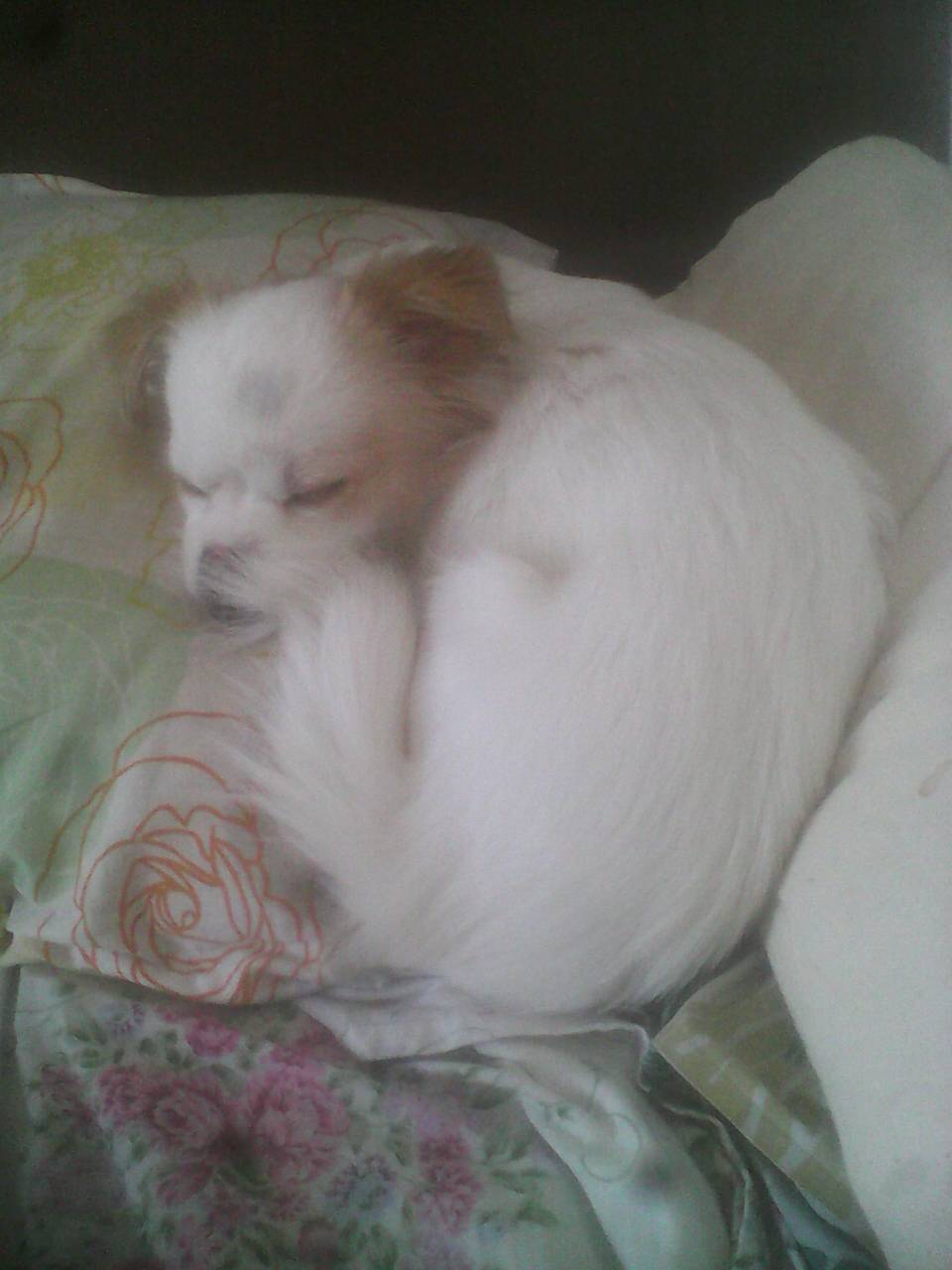 kaiyun开云网页版