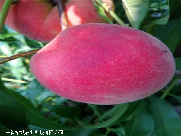 kaiyun开云官方在线登录